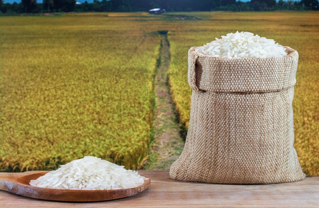 10 kg Dinorado Rice