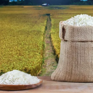 10 kg Dinorado Rice